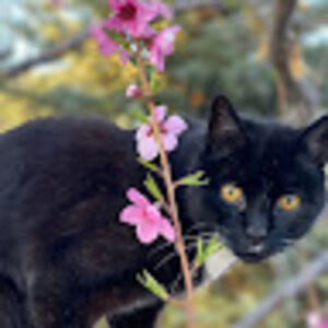 Meet your Posher, Diane